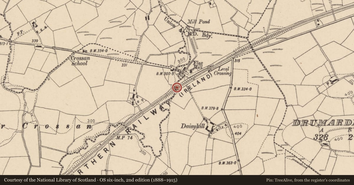 Ordnance Survey six-inch map, 2nd edition (1888–1915) covering the location of Bridge No.9, Shanmullagh East TD/Crossan TD, Trillick, Co Tyrone, Fermanagh and Omagh, with a pin at the register's coordinates