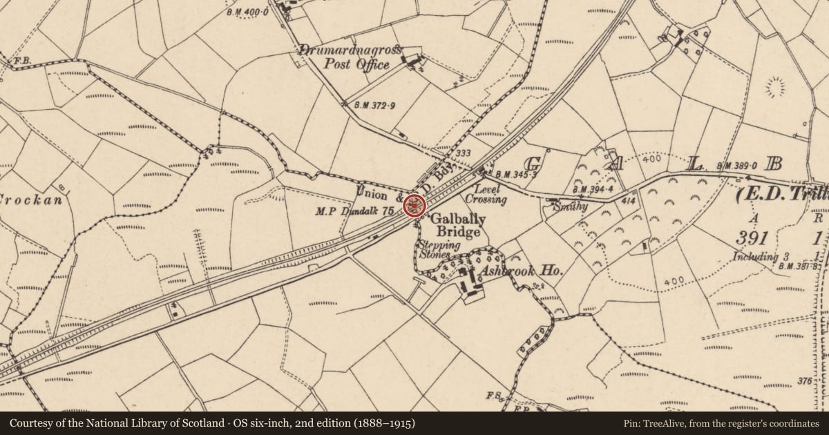 Ordnance Survey six-inch map, 2nd edition (1888–1915) covering the location of Bridge No.10 (Galbally Bridge), Galbally TD/Drumardnagross TD, Trillick, Co Tyrone, Fermanagh and Omagh, with a pin at the register's coordinates