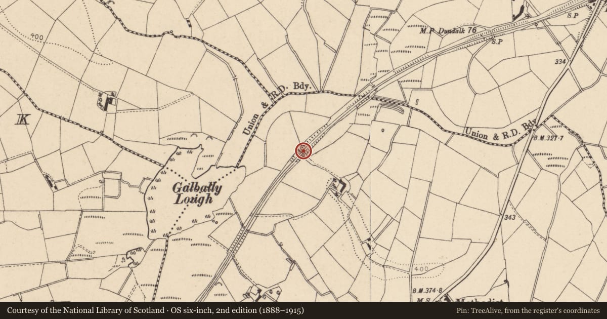 Ordnance Survey six-inch map, 2nd edition (1888–1915) covering the location of Bridge No.11, Galbally TD, Trillick, Co Tyrone, Fermanagh and Omagh, with a pin at the register's coordinates