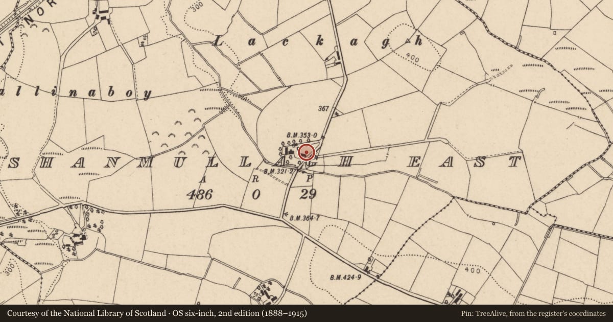Ordnance Survey six-inch map, 2nd edition (1888–1915) covering the location of Outbuilding at 23 Mullagh Road, Trillick, Omagh, Co Tyrone BT78 3TN, Shanmullagh East, Fermanagh and Omagh, with a pin at the register's coordinates