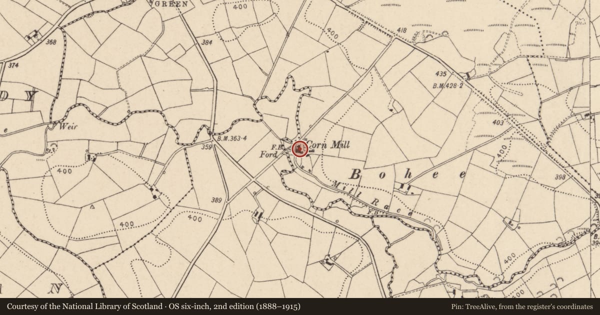 Ordnance Survey six-inch map, 2nd edition (1888–1915) covering the location of Mill, Badoney Road, Trillick, Omagh, Co Tyrone, BT78 3SQ, Cavanamara, Fermanagh and Omagh, with a pin at the register's coordinates