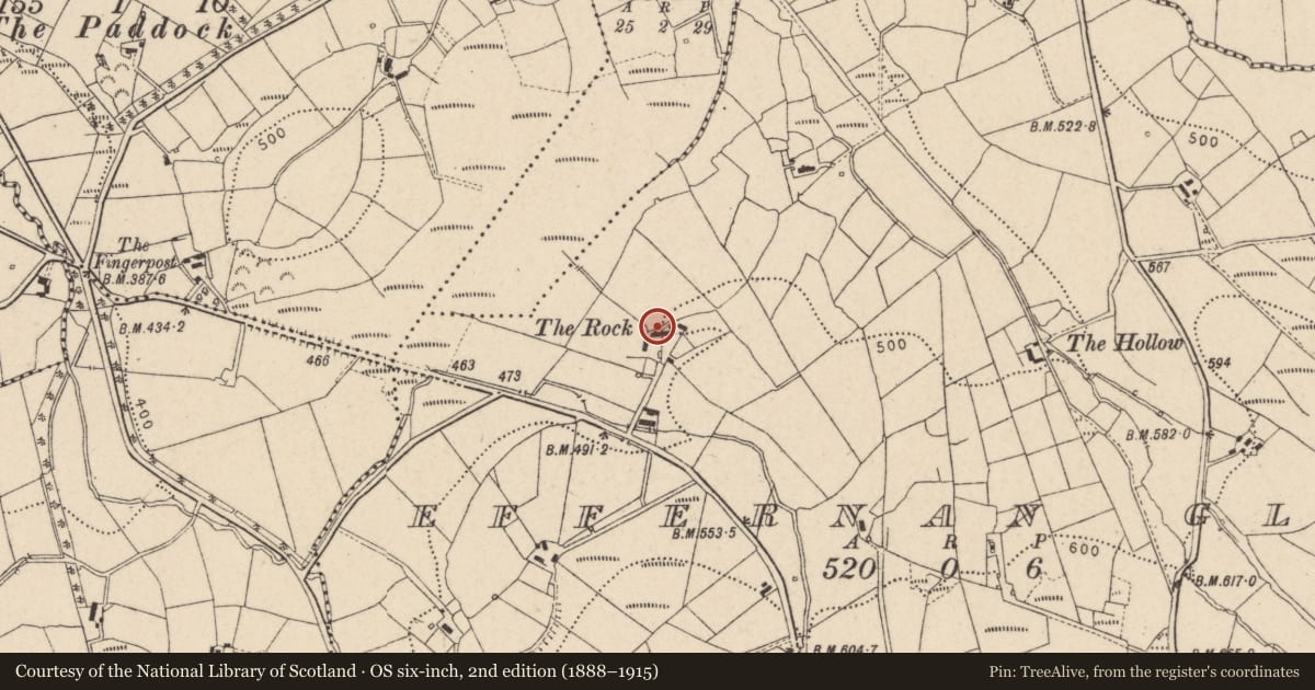 Ordnance Survey six-inch map, 2nd edition (1888–1915) covering the location of The Rock, Effernan Glebe, Fermanagh and Omagh, with a pin at the register's coordinates