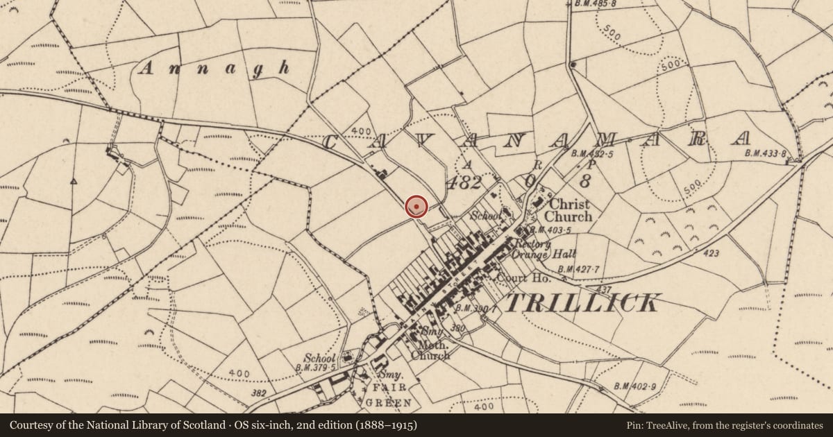Ordnance Survey six-inch map, 2nd edition (1888–1915) covering the location of 9 Gargadis Road, Trillick, Omagh, Co Tyrone BT78 3NX, Cavanamara, Fermanagh and Omagh, with a pin at the register's coordinates