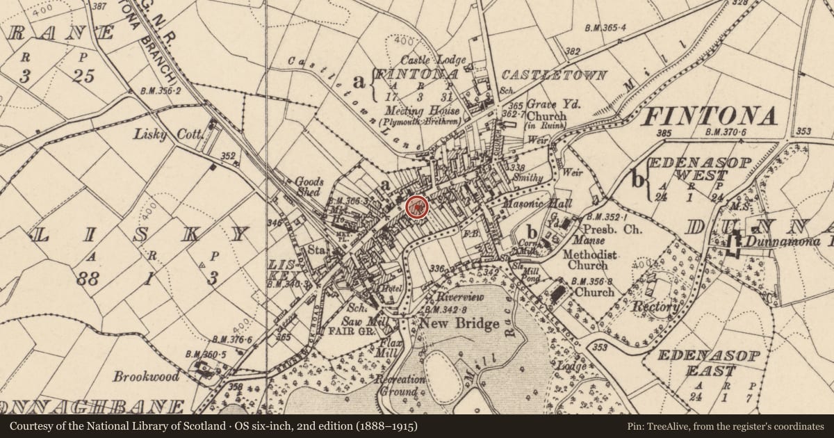 Ordnance Survey six-inch map, 2nd edition (1888–1915) covering the location of Barrett Hardware, Fintona, Fermanagh and Omagh, with a pin at the register's coordinates