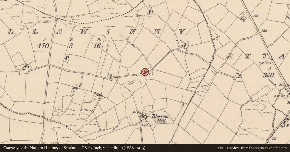 Ordnance Survey six-inch map, 2nd edition (1888–1915) covering the location of 9 Mullawinny Road, Fermanagh and Omagh, with a pin at the register's coordinates