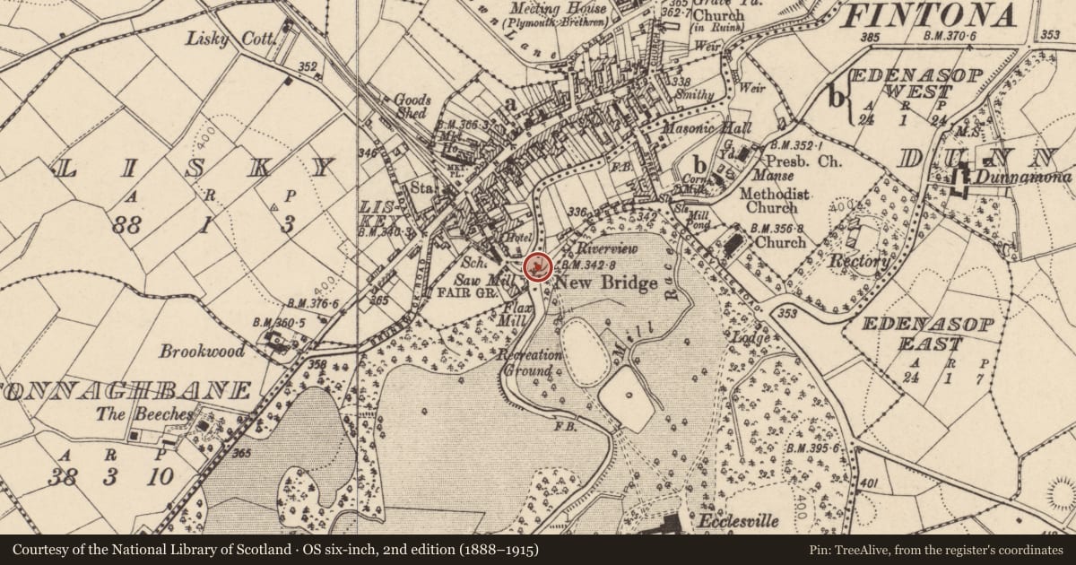 Ordnance Survey six-inch map, 2nd edition (1888–1915) covering the location of New Bridge, Fintona/Ecclesville, Fermanagh and Omagh, with a pin at the register's coordinates