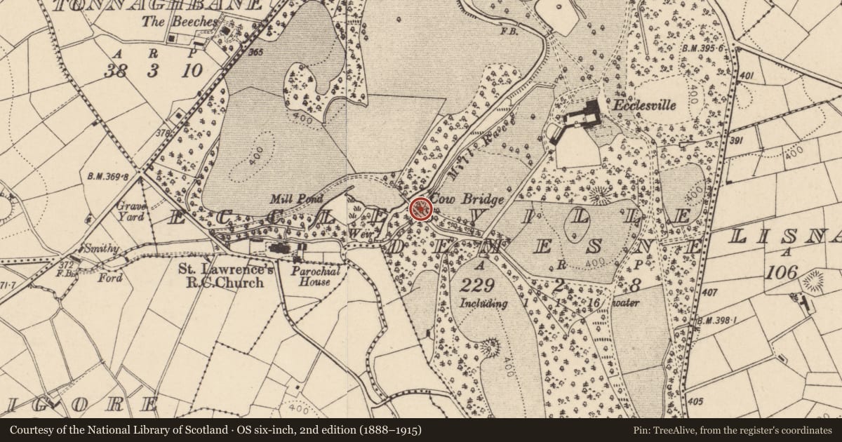 Ordnance Survey six-inch map, 2nd edition (1888–1915) covering the location of Low Bridge, Fermanagh and Omagh, with a pin at the register's coordinates