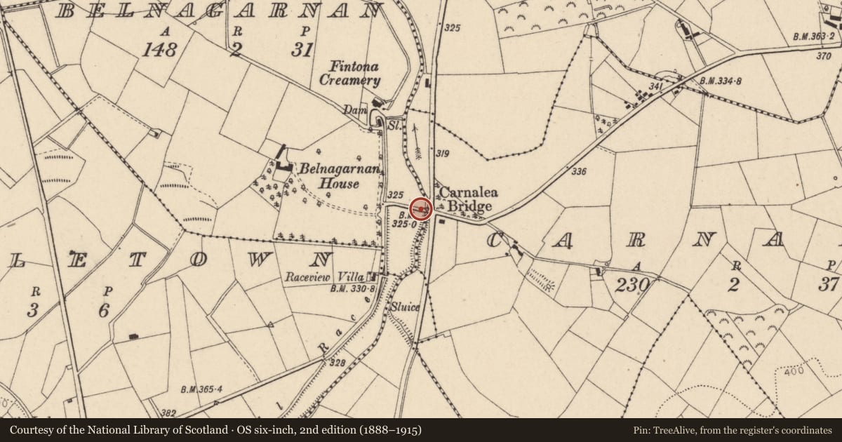 Ordnance Survey six-inch map, 2nd edition (1888–1915) covering the location of Carnalea Bridge, Fermanagh and Omagh, with a pin at the register's coordinates