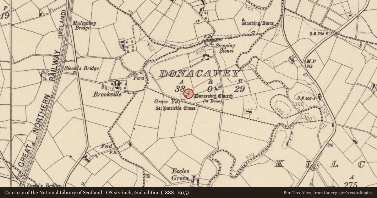 Ordnance Survey six-inch map, 2nd edition (1888–1915) covering the location of Ruins of Castletown Parish Church, Fermanagh and Omagh, with a pin at the register's coordinates