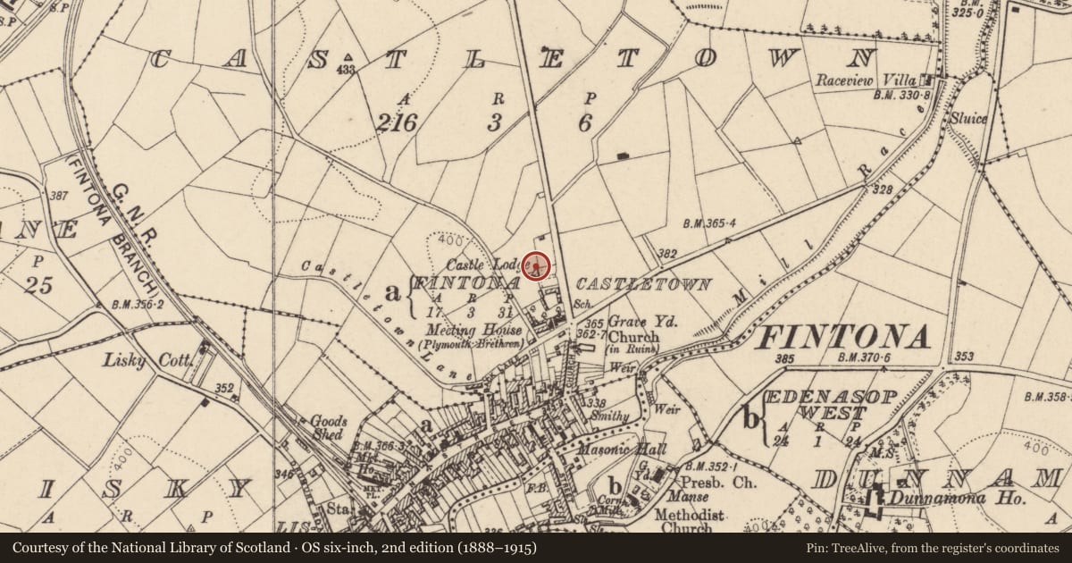 Ordnance Survey six-inch map, 2nd edition (1888–1915) covering the location of Castle Lodge, Fermanagh and Omagh, with a pin at the register's coordinates
