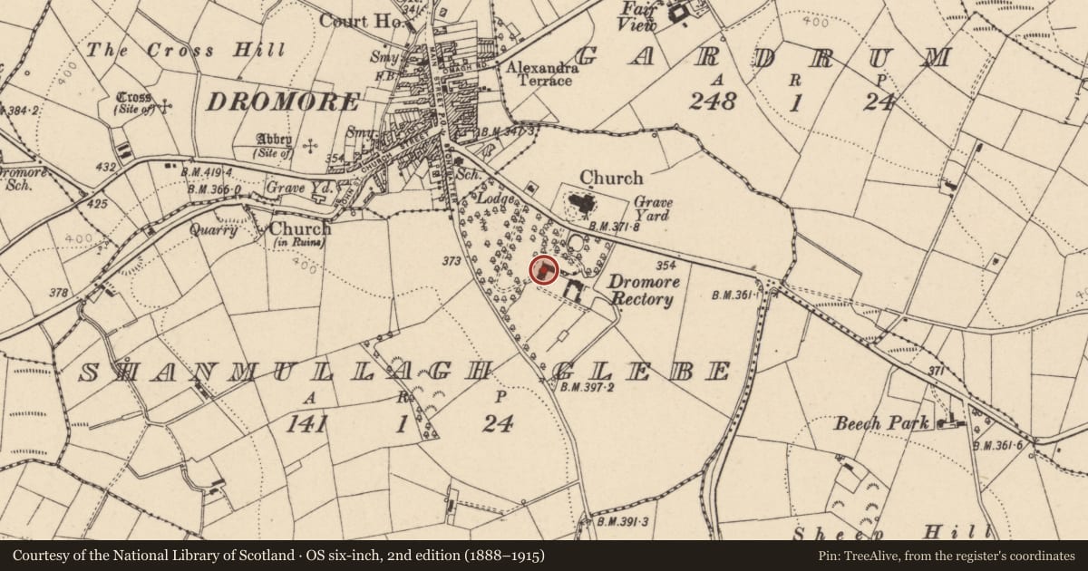 Ordnance Survey six-inch map, 2nd edition (1888–1915) covering the location of Dromore Rectory, Fermanagh and Omagh, with a pin at the register's coordinates