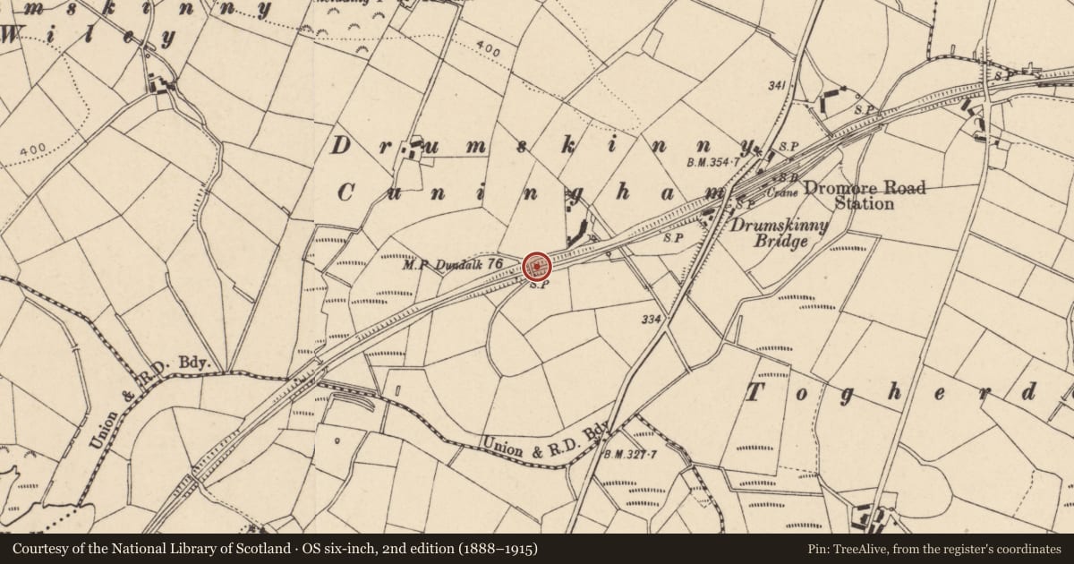 Ordnance Survey six-inch map, 2nd edition (1888–1915) covering the location of Bridge No 12, Fermanagh and Omagh, with a pin at the register's coordinates