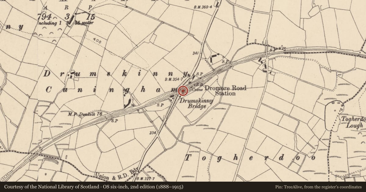 Ordnance Survey six-inch map, 2nd edition (1888–1915) covering the location of Drumskinny Bridge, Fermanagh and Omagh, with a pin at the register's coordinates
