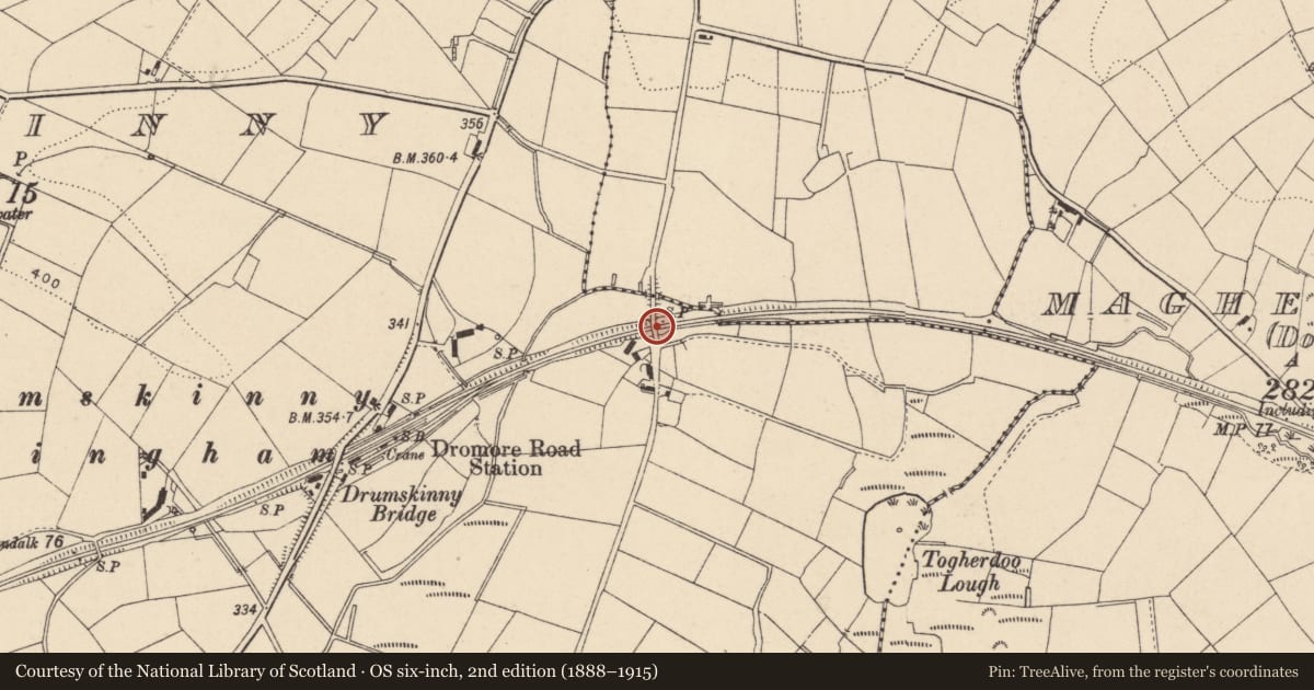 Ordnance Survey six-inch map, 2nd edition (1888–1915) covering the location of Bridge 14, Fermanagh and Omagh, with a pin at the register's coordinates