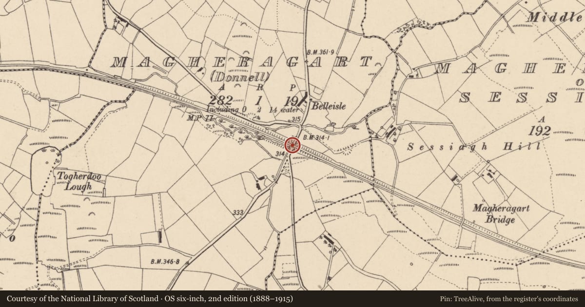 Ordnance Survey six-inch map, 2nd edition (1888–1915) covering the location of Railway Bridge (bridge No 15), Fermanagh and Omagh, with a pin at the register's coordinates