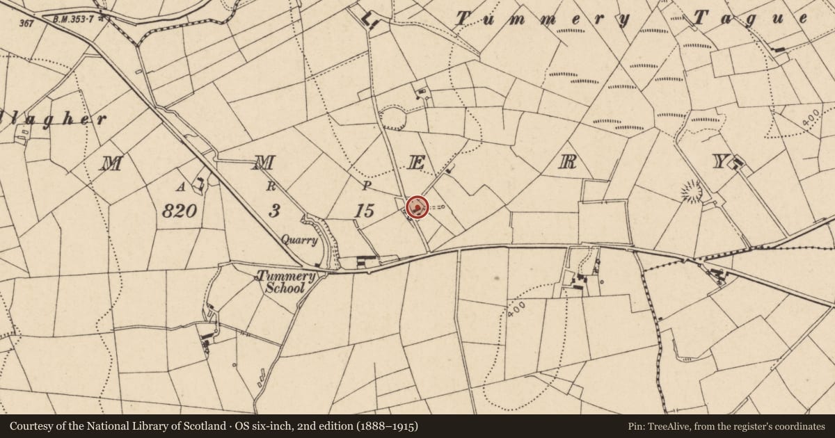 Ordnance Survey six-inch map, 2nd edition (1888–1915) covering the location of 103 Newpark Road, Tummery, Fermanagh and Omagh, with a pin at the register's coordinates