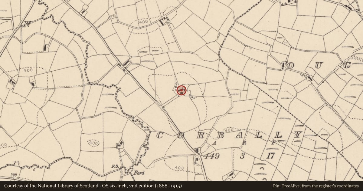 Ordnance Survey six-inch map, 2nd edition (1888–1915) covering the location of 55 Corlagh Road, Corbally, Fermanagh and Omagh, with a pin at the register's coordinates