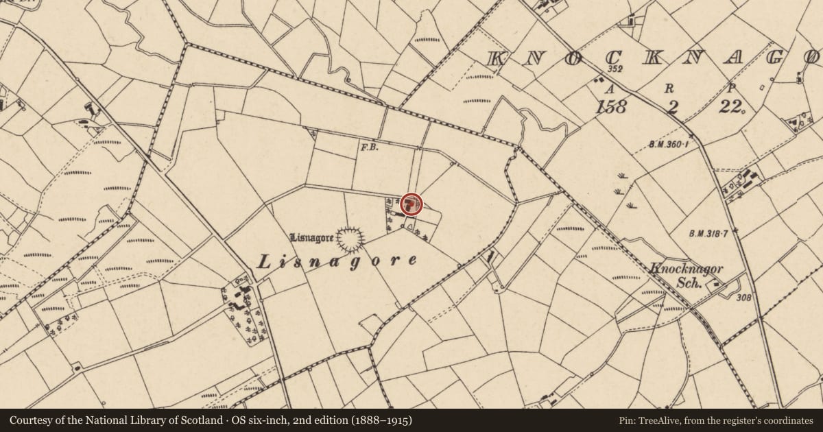 Ordnance Survey six-inch map, 2nd edition (1888–1915) covering the location of 40 Stralongford Road, Feglish, Fermanagh and Omagh, with a pin at the register's coordinates