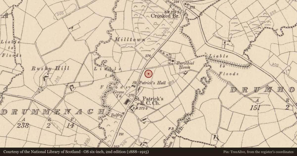 Ordnance Survey six-inch map, 2nd edition (1888–1915) covering the location of St. Patrick'S Church, Fermanagh and Omagh, with a pin at the register's coordinates