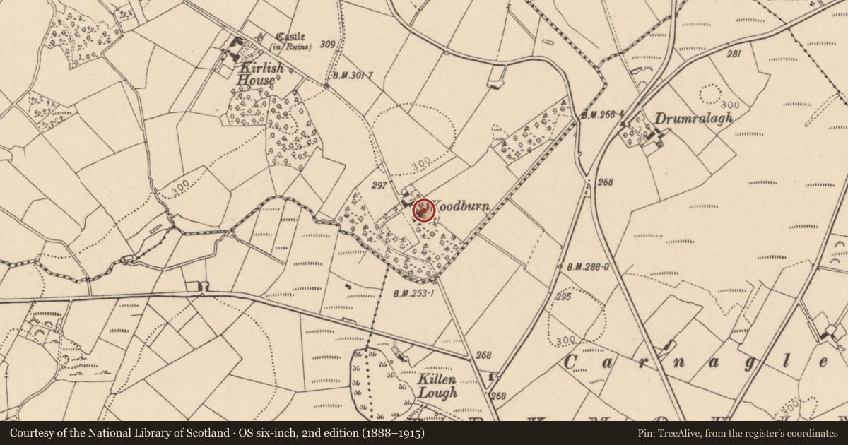 Ordnance Survey six-inch map, 2nd edition (1888–1915) covering the location of Woodburn House, Kirlish, Fermanagh and Omagh, with a pin at the register's coordinates