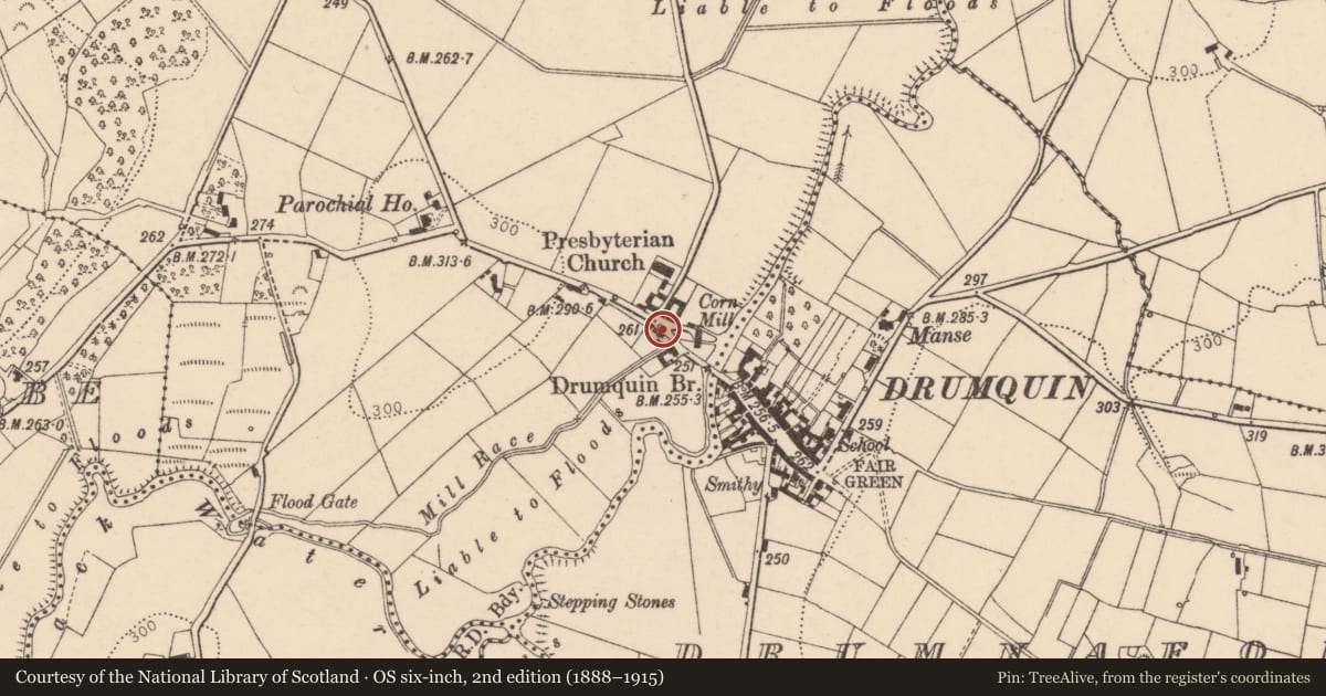 Ordnance Survey six-inch map, 2nd edition (1888–1915) covering the location of Block 1 (and 3), Fermanagh and Omagh, with a pin at the register's coordinates