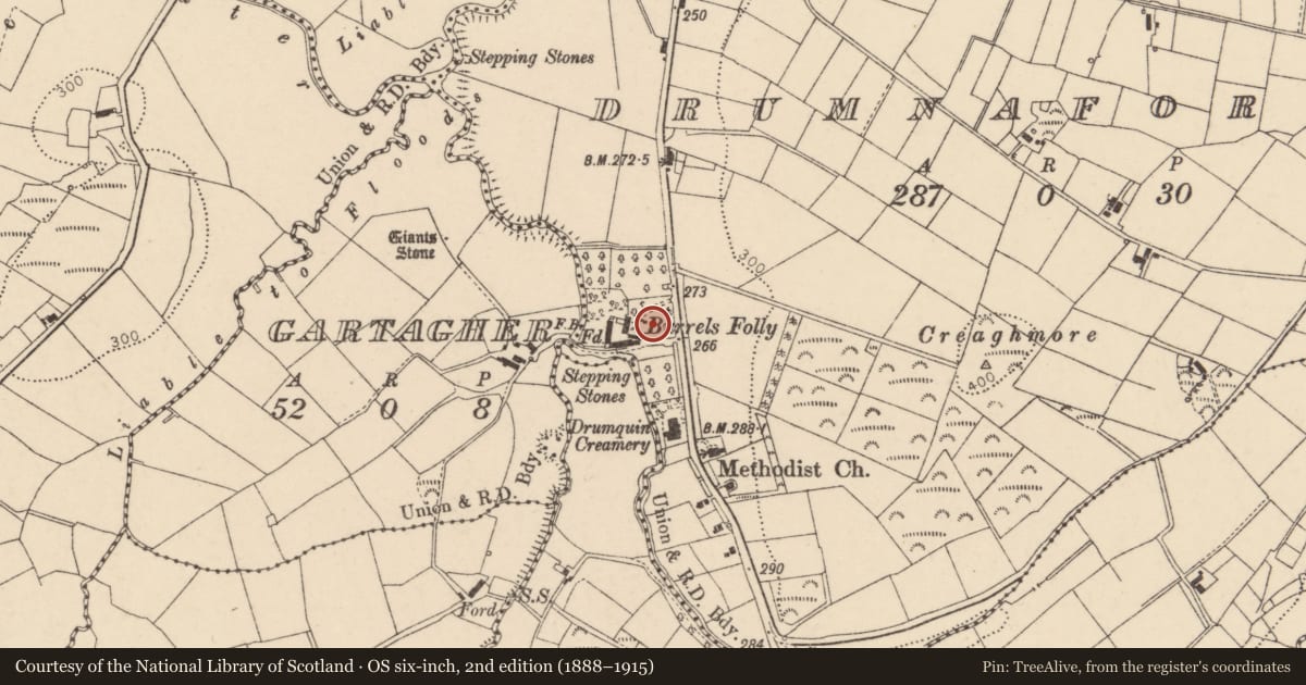 Ordnance Survey six-inch map, 2nd edition (1888–1915) covering the location of Burrell's Folly, Drumnaforbe, Fermanagh and Omagh, with a pin at the register's coordinates