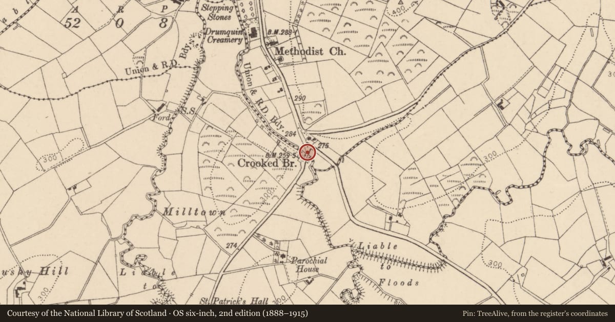 Ordnance Survey six-inch map, 2nd edition (1888–1915) covering the location of Crooked Bridge, Fermanagh and Omagh, with a pin at the register's coordinates