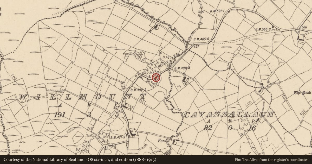 Ordnance Survey six-inch map, 2nd edition (1888–1915) covering the location of 104 Willmount Road, Fermanagh and Omagh, with a pin at the register's coordinates