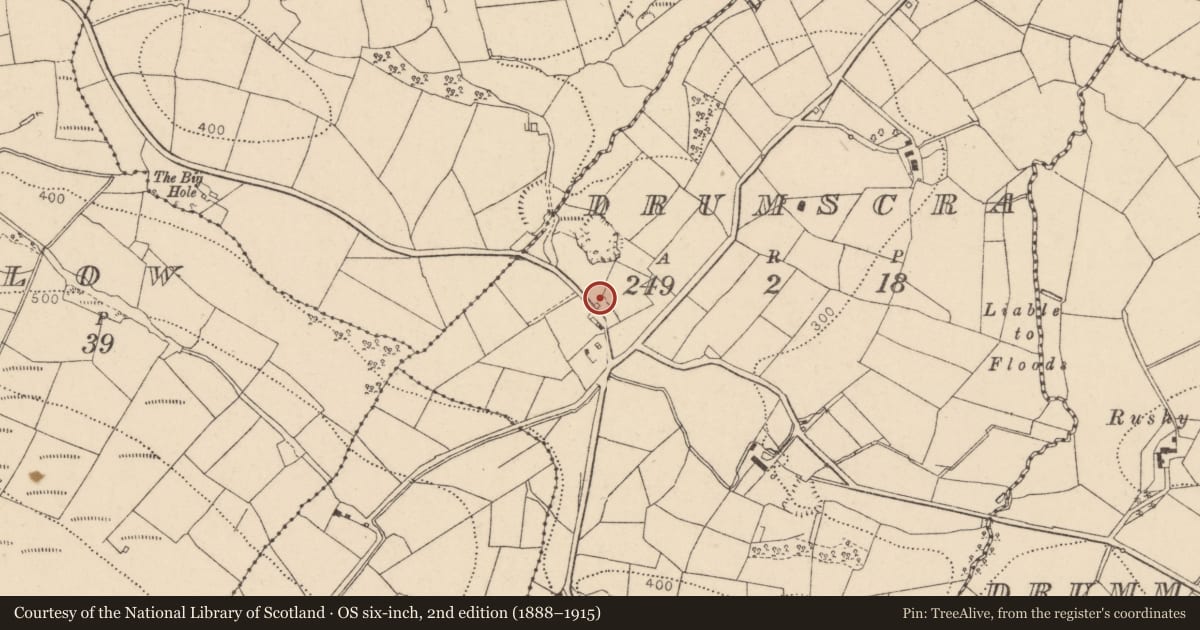 Ordnance Survey six-inch map, 2nd edition (1888–1915) covering the location of Lime Kiln, Drumscra, Fermanagh and Omagh, with a pin at the register's coordinates