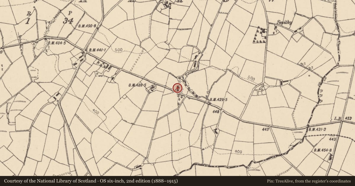 Ordnance Survey six-inch map, 2nd edition (1888–1915) covering the location of 91 Tattysallagh Road, Cornavarrow, Fermanagh and Omagh, with a pin at the register's coordinates