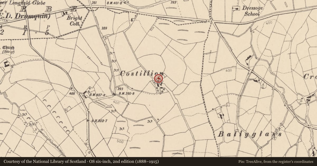 Ordnance Survey six-inch map, 2nd edition (1888–1915) covering the location of Costillion, Magharenny, Fermanagh and Omagh, with a pin at the register's coordinates
