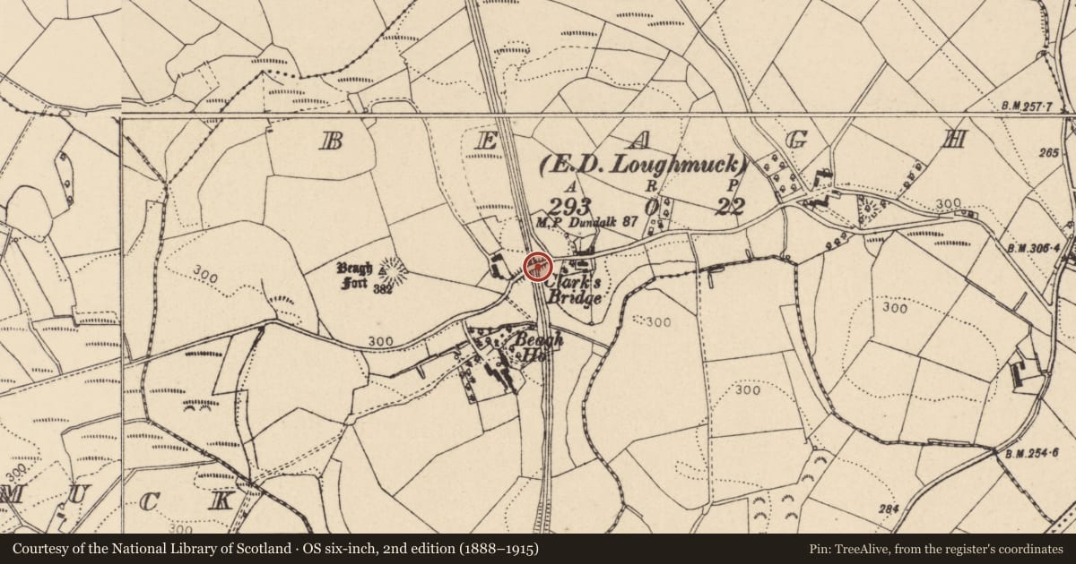 Ordnance Survey six-inch map, 2nd edition (1888–1915) covering the location of Clark's Bridge, Beagh, Fermanagh and Omagh, with a pin at the register's coordinates