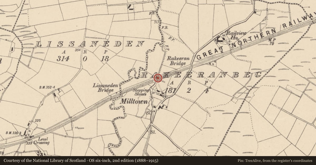 Ordnance Survey six-inch map, 2nd edition (1888–1915) covering the location of Railway Bridge (bridge No 18), Fermanagh and Omagh, with a pin at the register's coordinates