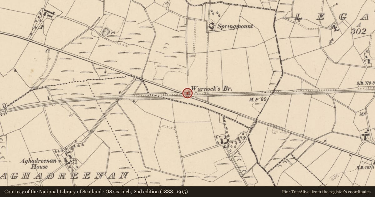 Ordnance Survey six-inch map, 2nd edition (1888–1915) covering the location of Warnocks Bridge, Fermanagh and Omagh, with a pin at the register's coordinates