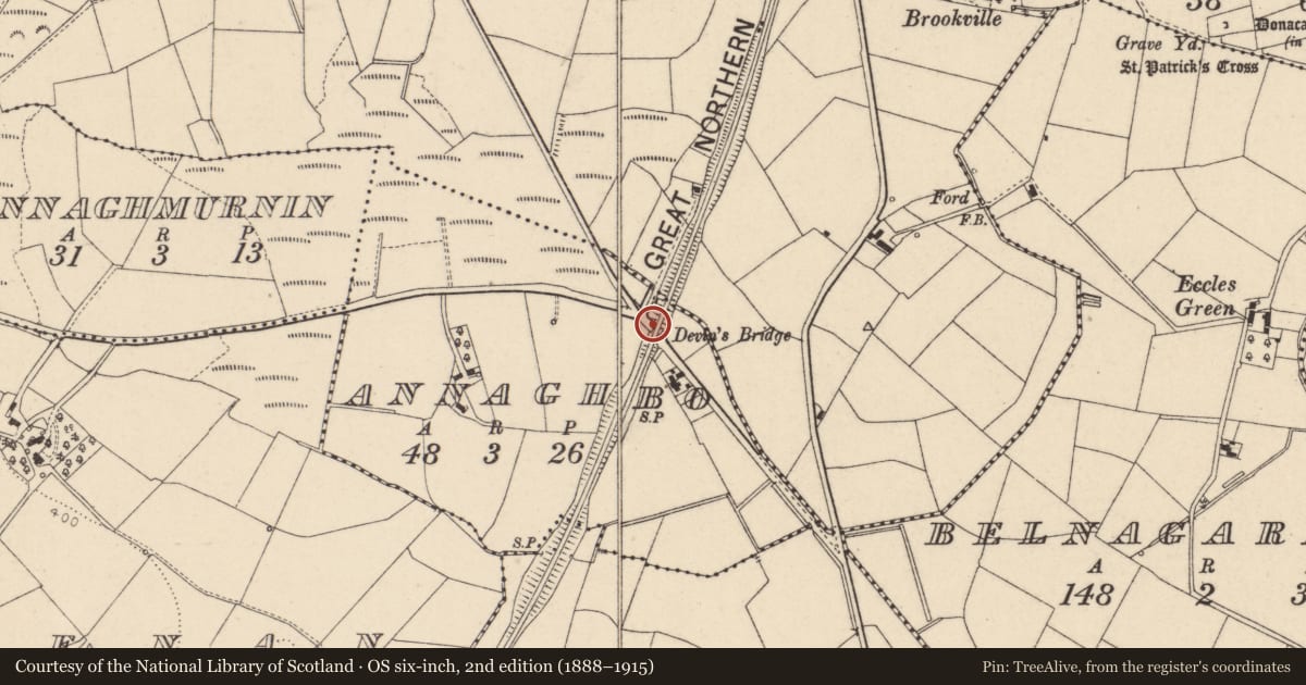 Ordnance Survey six-inch map, 2nd edition (1888–1915) covering the location of Devlin’s Bridge, Fermanagh and Omagh, with a pin at the register's coordinates