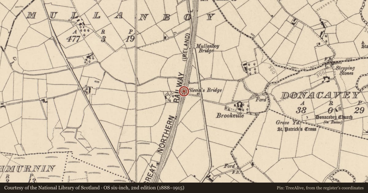 Ordnance Survey six-inch map, 2nd edition (1888–1915) covering the location of Slevin’s Bridge, Fermanagh and Omagh, with a pin at the register's coordinates
