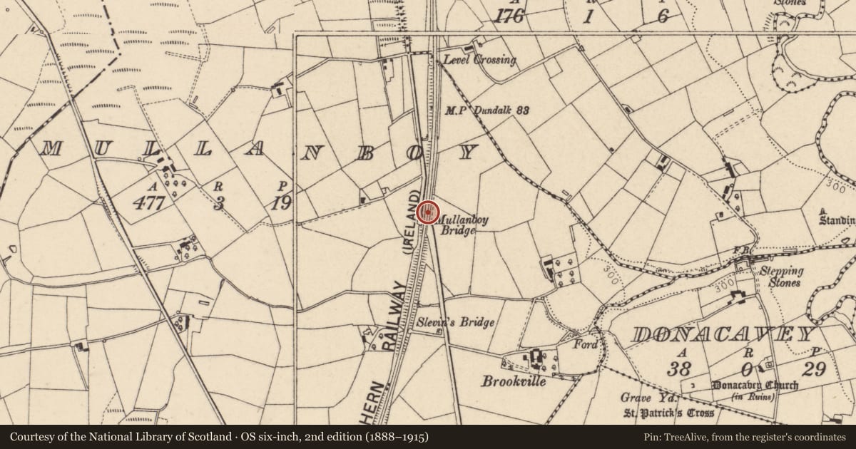 Ordnance Survey six-inch map, 2nd edition (1888–1915) covering the location of Mullanboy Bridge, Fermanagh and Omagh, with a pin at the register's coordinates
