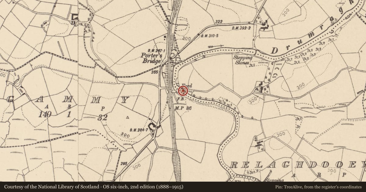 Ordnance Survey six-inch map, 2nd edition (1888–1915) covering the location of Footbridge over Drumragh River, Gammy/Relaghdooey, Fermanagh and Omagh, with a pin at the register's coordinates