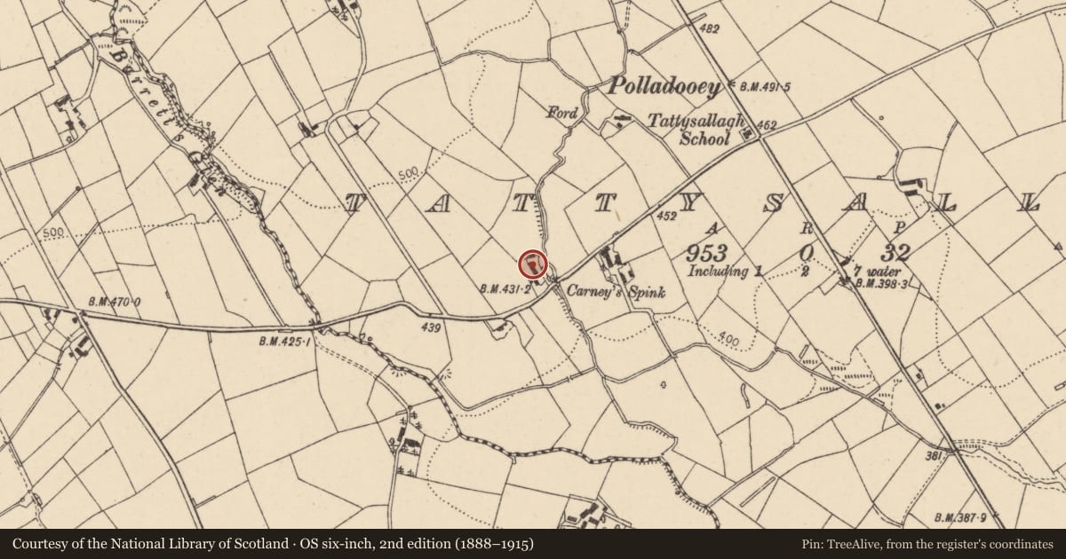 Ordnance Survey six-inch map, 2nd edition (1888–1915) covering the location of House to west of 42 Tallysallagh Road, Tattysallagh, Fermanagh and Omagh, with a pin at the register's coordinates