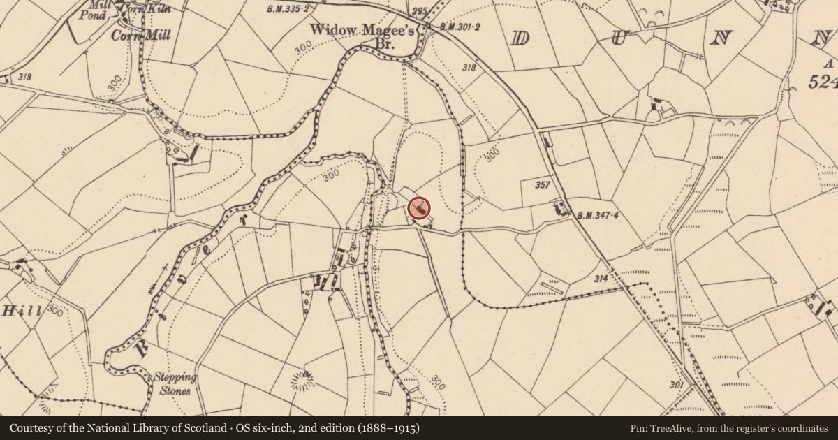 Ordnance Survey six-inch map, 2nd edition (1888–1915) covering the location of 5 Glennan Road, Skreen, Fermanagh and Omagh, with a pin at the register's coordinates