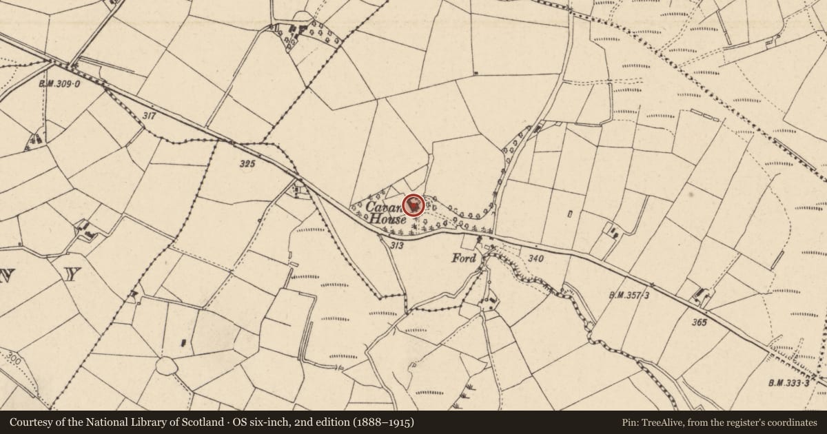 Ordnance Survey six-inch map, 2nd edition (1888–1915) covering the location of Cavan House, Fermanagh and Omagh, with a pin at the register's coordinates