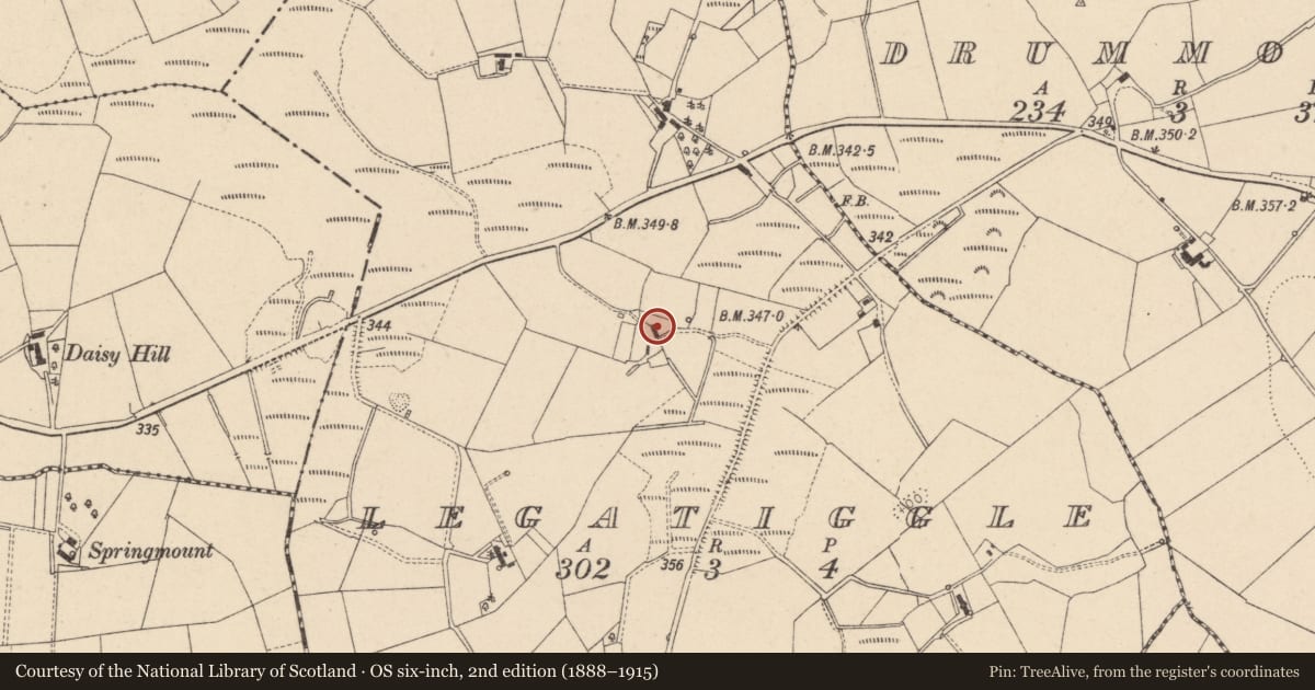 Ordnance Survey six-inch map, 2nd edition (1888–1915) covering the location of 106 Dromore Road, Legatiggle, Fermanagh and Omagh, with a pin at the register's coordinates