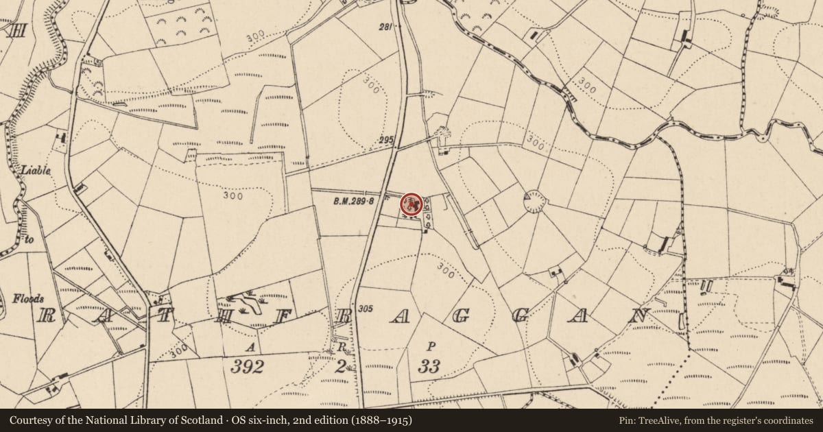 Ordnance Survey six-inch map, 2nd edition (1888–1915) covering the location of 106 Tattyreagh Road, Rathfraggan, Fermanagh and Omagh, with a pin at the register's coordinates