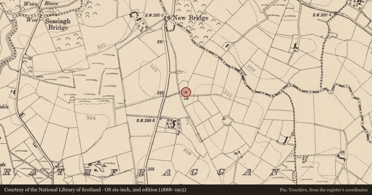 Ordnance Survey six-inch map, 2nd edition (1888–1915) covering the location of 102 Tattyreagh Road, Rathfraggan, Fermanagh and Omagh, with a pin at the register's coordinates