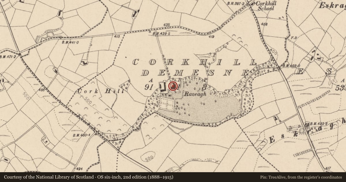 Ordnance Survey six-inch map, 2nd edition (1888–1915) covering the location of Raveagh, Corkill Demesne, Fermanagh and Omagh, with a pin at the register's coordinates