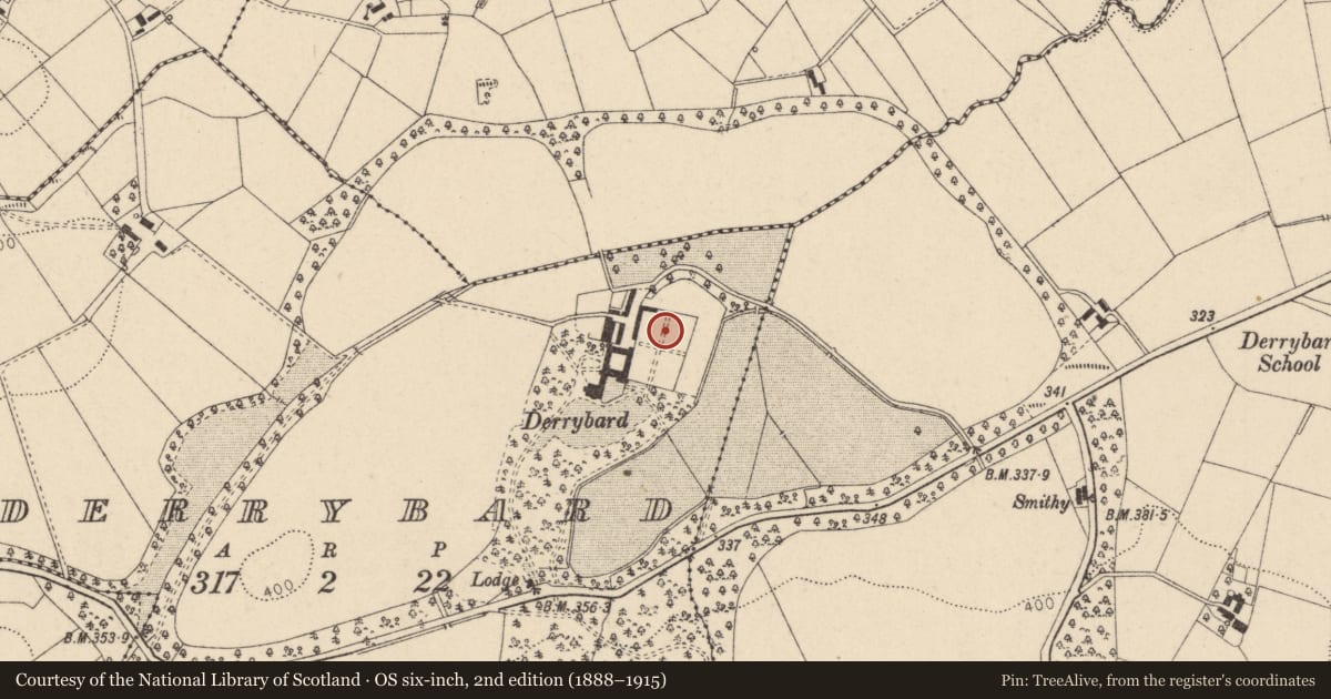 Ordnance Survey six-inch map, 2nd edition (1888–1915) covering the location of Derrybard House & Lodge, Fermanagh and Omagh, with a pin at the register's coordinates