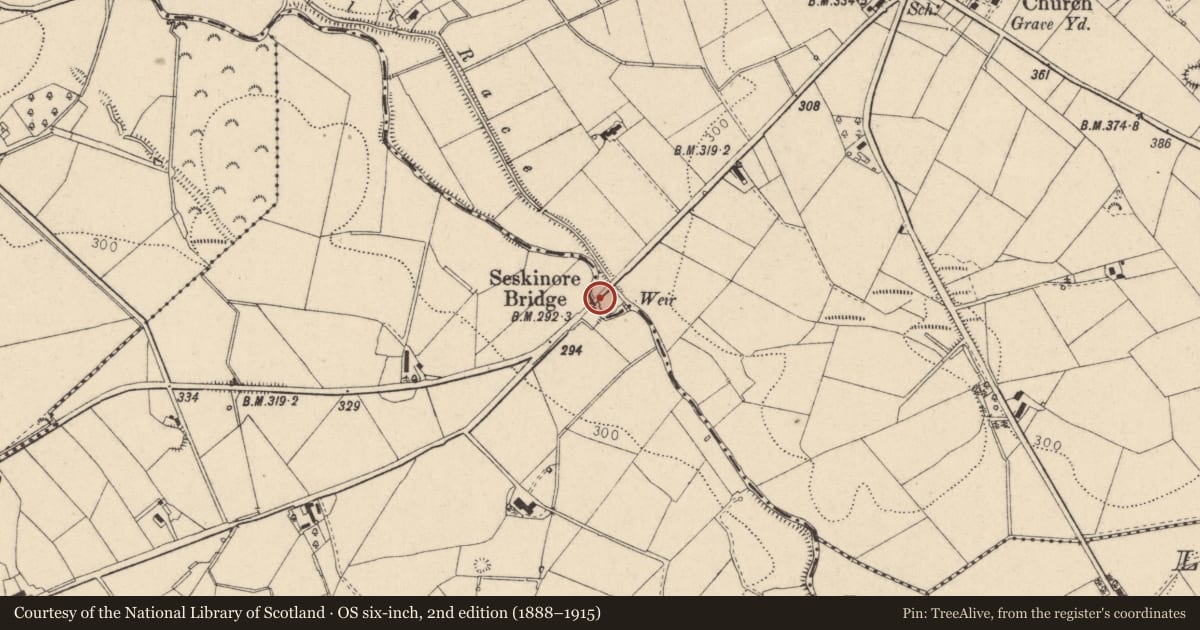Ordnance Survey six-inch map, 2nd edition (1888–1915) covering the location of Seskinore Bridge, Fermanagh and Omagh, with a pin at the register's coordinates