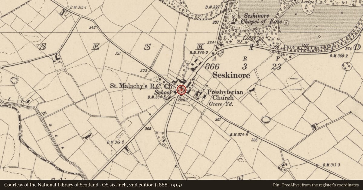 Ordnance Survey six-inch map, 2nd edition (1888–1915) covering the location of Seskinore, Fermanagh and Omagh, with a pin at the register's coordinates