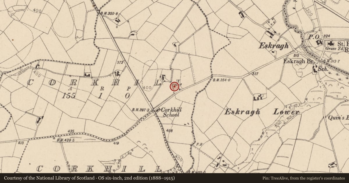 Ordnance Survey six-inch map, 2nd edition (1888–1915) covering the location of Hall, Corkhill Demesne, Fermanagh and Omagh, with a pin at the register's coordinates