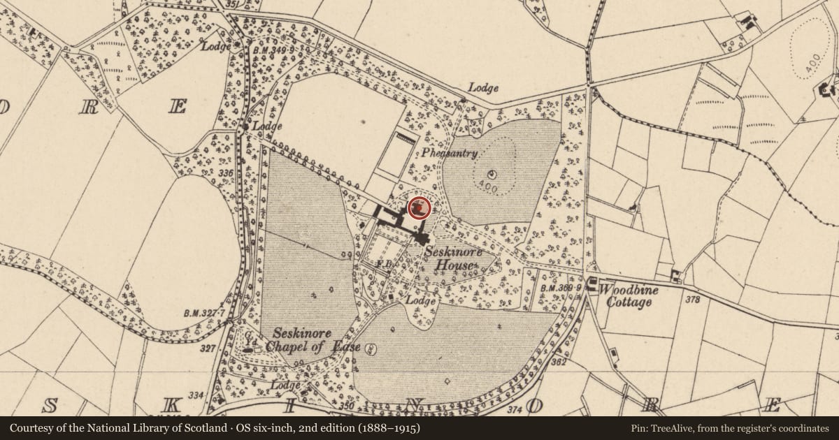 Ordnance Survey six-inch map, 2nd edition (1888–1915) covering the location of Farm Buildings, Seskinore, Fermanagh and Omagh, with a pin at the register's coordinates